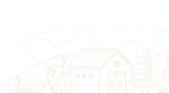 Afyon Şehir Adakçısı | Online Kurban | Akika Kurbanı | Şükür Kurbanı | Afyon Adaklık Kurban