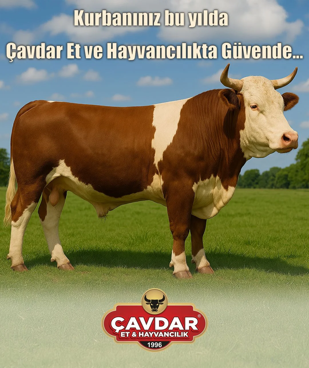 Afyon Şehir Adakçısı | Online Kurban | Akika Kurbanı | Şükür Kurbanı | Afyon Adaklık Kurban