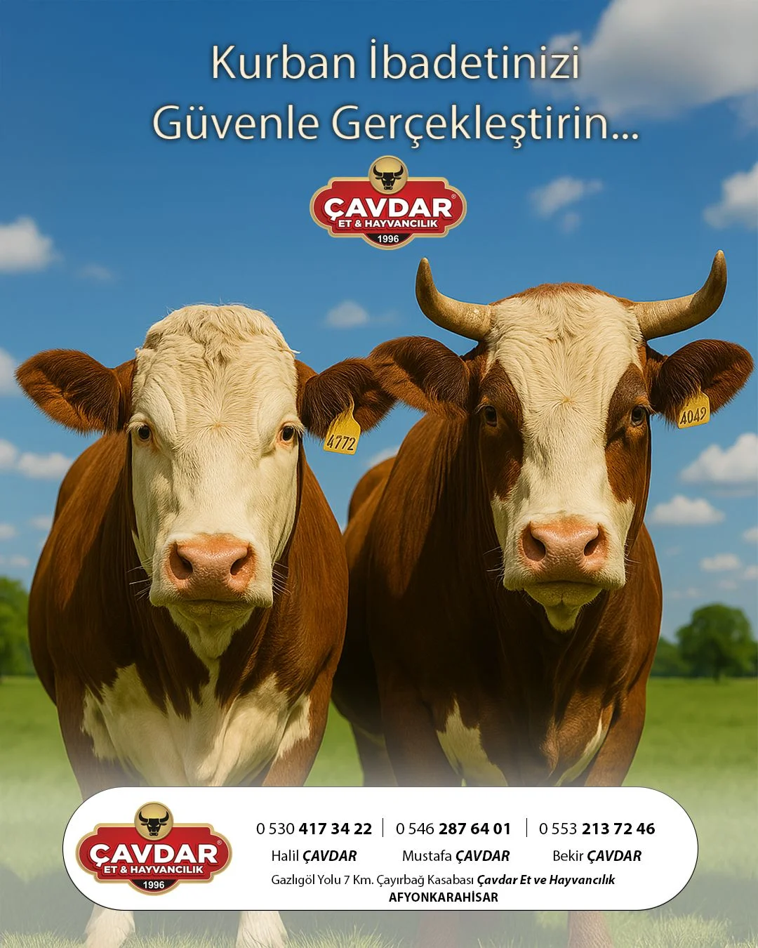 Afyon Şehir Adakçısı | Online Kurban | Akika Kurbanı | Şükür Kurbanı | Afyon Adaklık Kurban