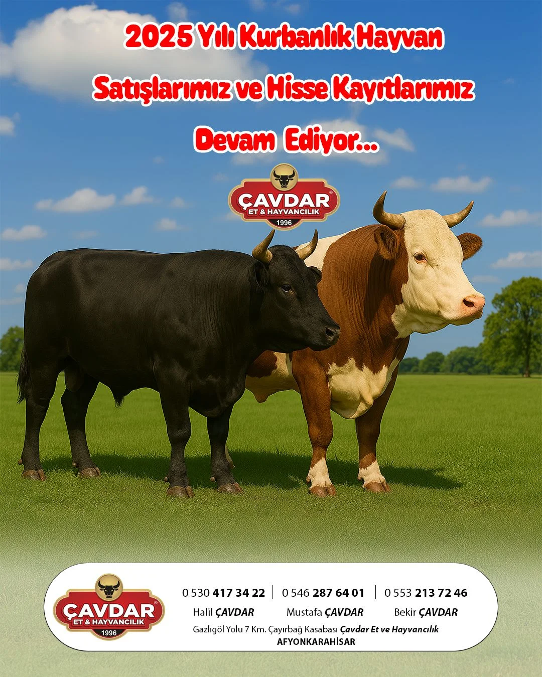 Afyon Şehir Adakçısı | Online Kurban | Akika Kurbanı | Şükür Kurbanı | Afyon Adaklık Kurban